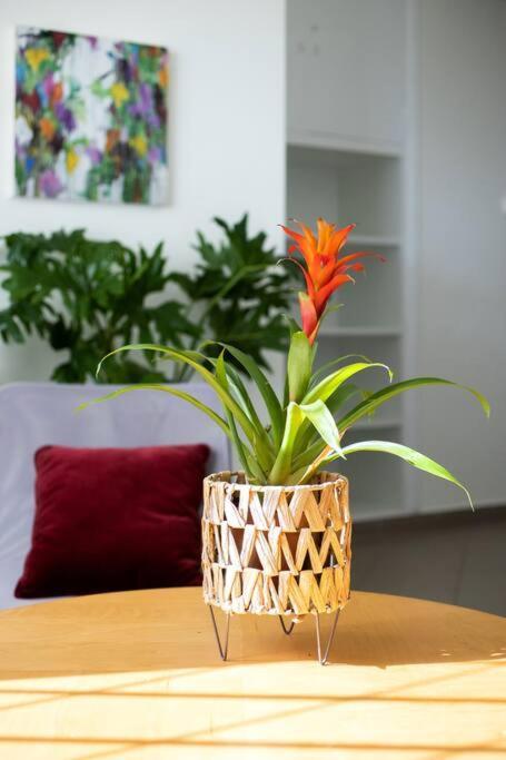 Best Spot Apartment In Athen Exterior foto